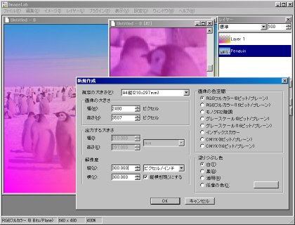 ImageLab