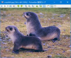 単独ビューア