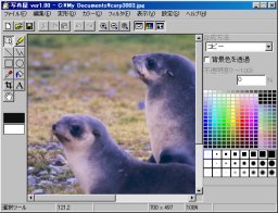 写真屋