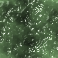 ゲル10