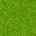 草1