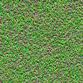 草3
