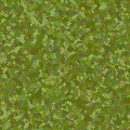 草4
