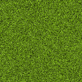 草5
