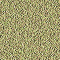 砂地1