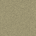 砂地2