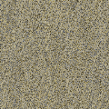 砂地4