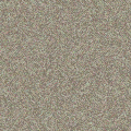 砂地5