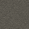 砂地6
