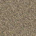砂地9